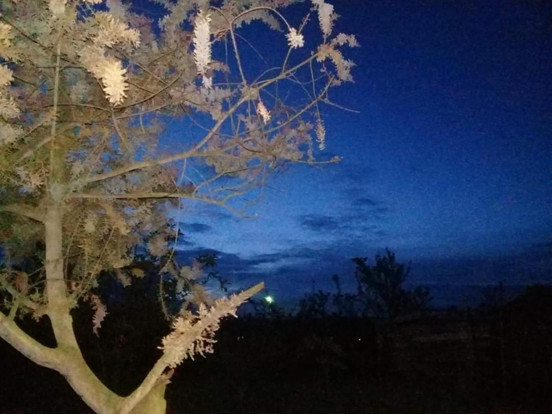 Hosteria El Tisaleno أمباتو المظهر الخارجي الصورة
